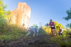 BIB: 
                            <button type="button" onclick="openModal(19343271)" class="btn btn-primary btn-sm float-right btn-popup" data-toggle="modal" data-target=".modal-high-quality">
                        <i class="fas fa-shopping-cart"></i> Add to Cart
                    </button>
                                            <button type="button" onclick="isThisMe(19343271, true)" class="btn btn-success btn-sm float-right btn-popup btn-isme hidden" data-toggle="tooltip" data-placement="bottom" title="นี่คือรูปของคุณใช่ไหม คลิกที่นี่เพื่อเอาเข้าอัลบั้ม">
                        <i class="fas fa-plus"></i> Add to album
                    </button>
                    <button type="button" onclick="isThisMe(19343271, false)" class="btn btn-warning btn-sm float-right btn-popup btn-isnotme hidden">
                        <i class="fas fa-ban"></i> Remove from album
                    </button>